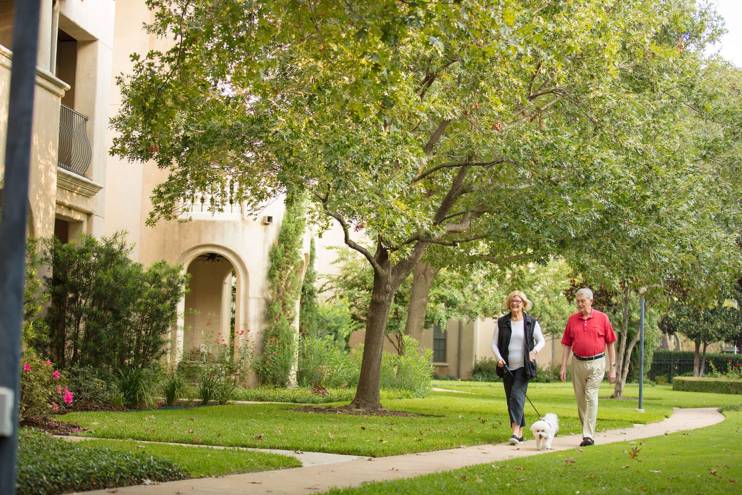 Senior couple walking their small white dog outside on a sidewalk surrounded by a beautiful green landscape
